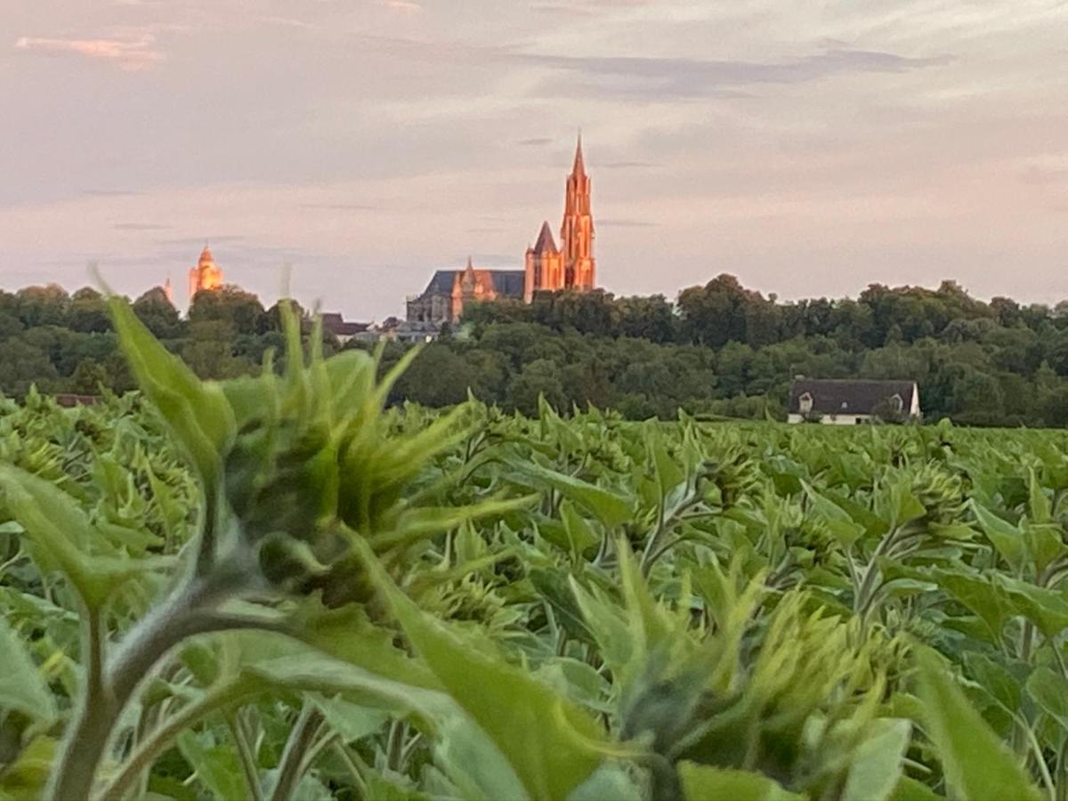 Maison De Campagne By La Boite En Plus Senlis  Exteriör bild